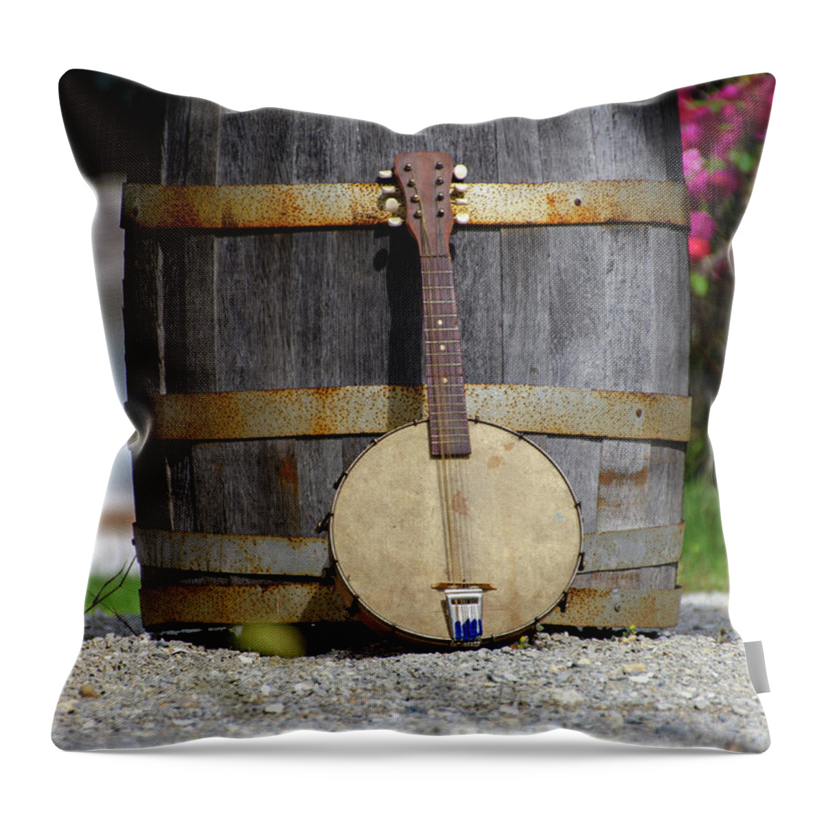 Cold Throw Pillow featuring the photograph Cold Spring - Banjo Mandolin by Bill Cannon