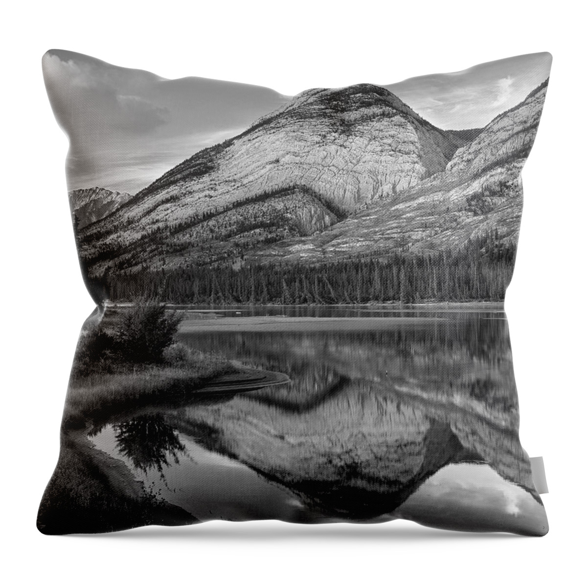 Disk1215 Throw Pillow featuring the photograph Colin Range And Athasca River Alberta by Tim Fitzharris
