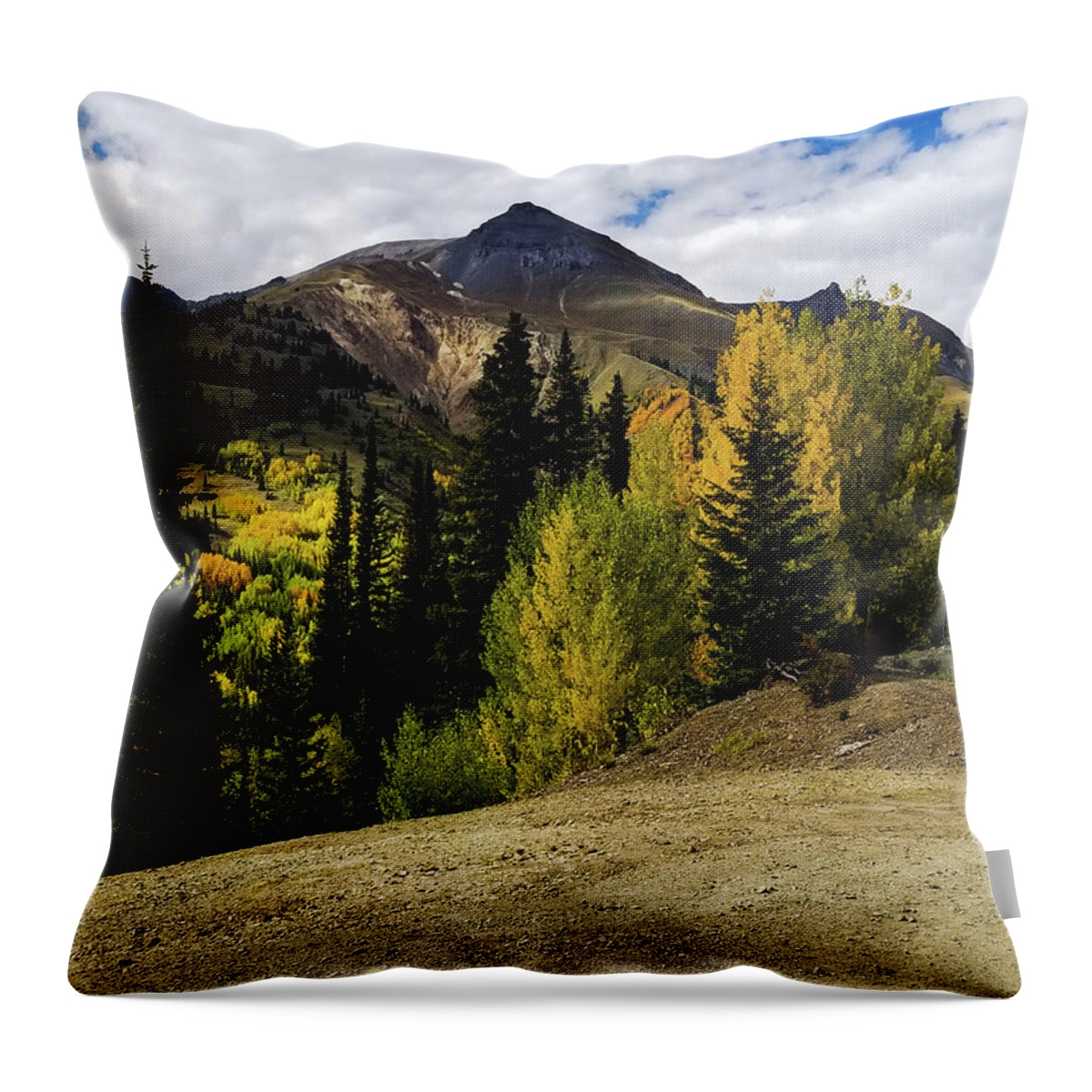 Colorado Throw Pillow featuring the photograph Color in the Mountains by Elizabeth M