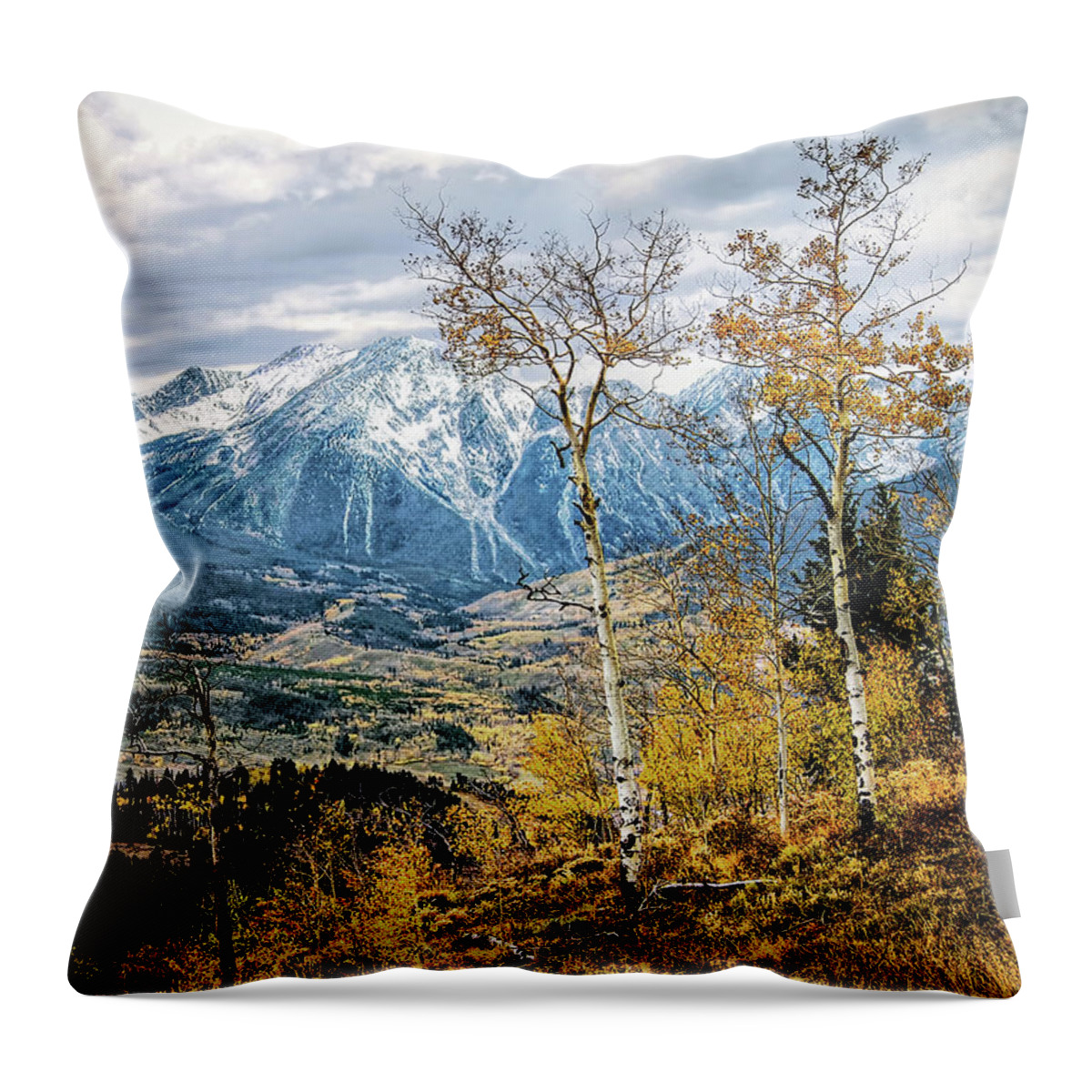 Autumn Throw Pillow featuring the photograph Colorado Autumn by Jim Hill