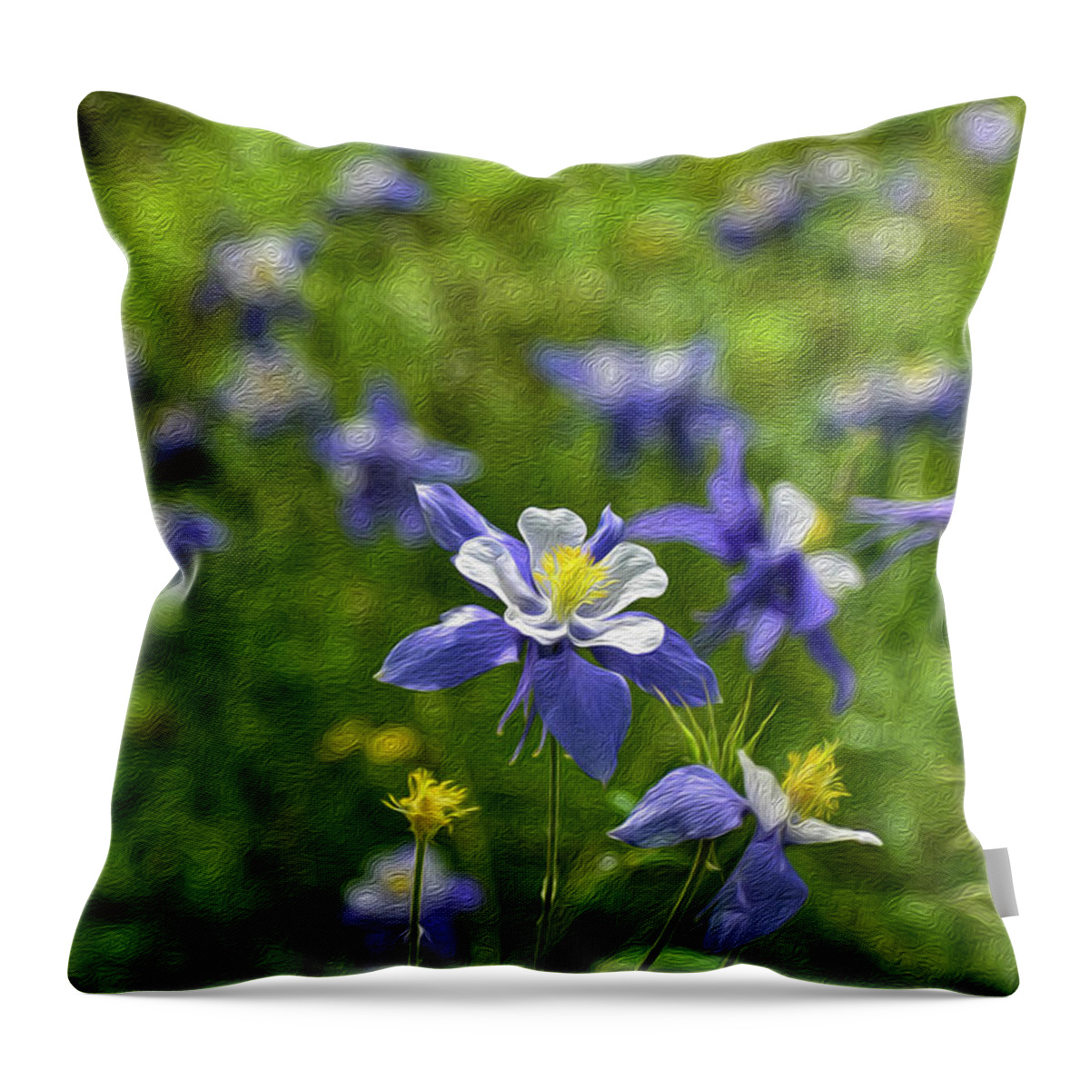 Columbines Throw Pillow featuring the photograph Colorado Columbines by Christopher Thomas