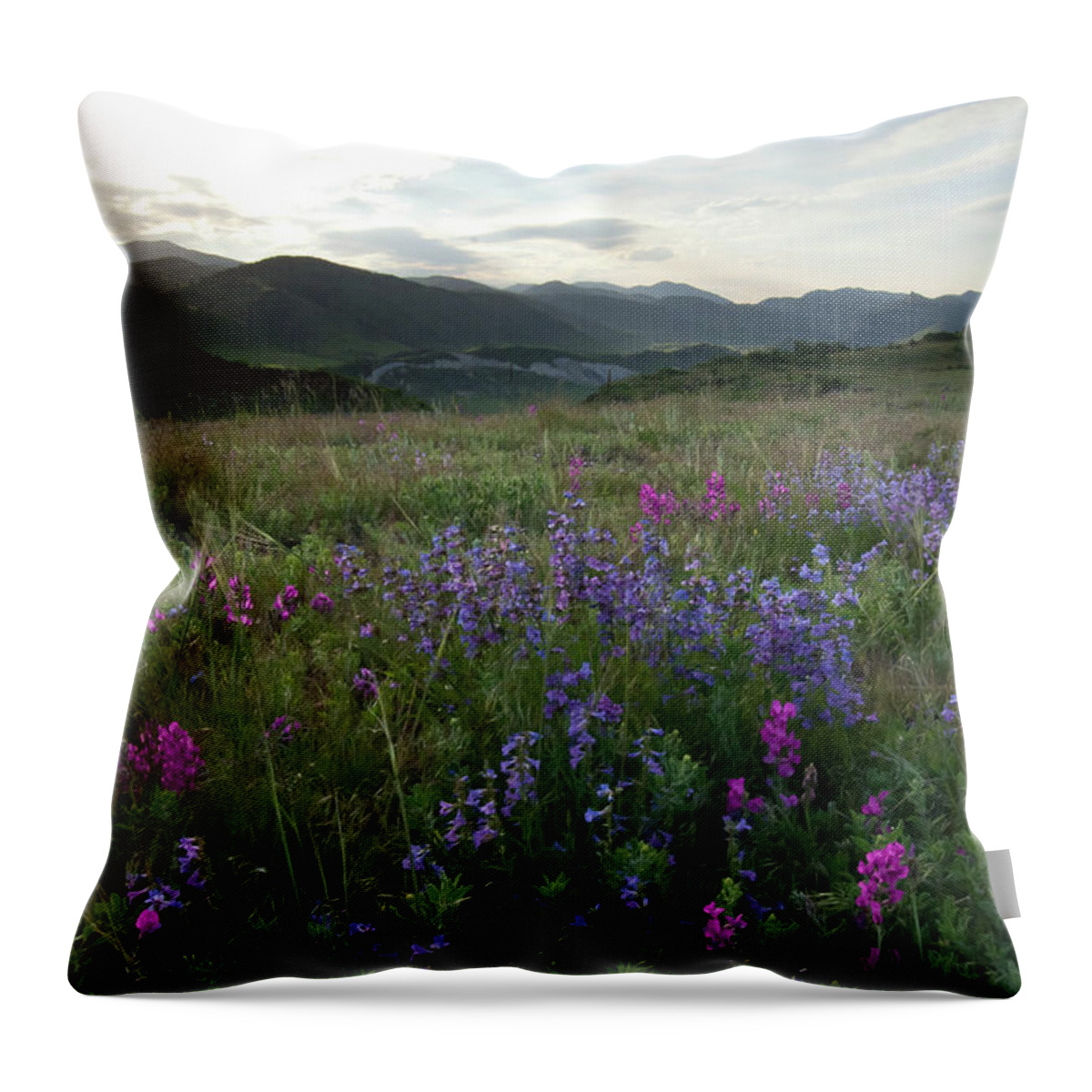 Mesa Throw Pillow featuring the photograph Colorado Evening Mesa Landscape by Cascade Colors