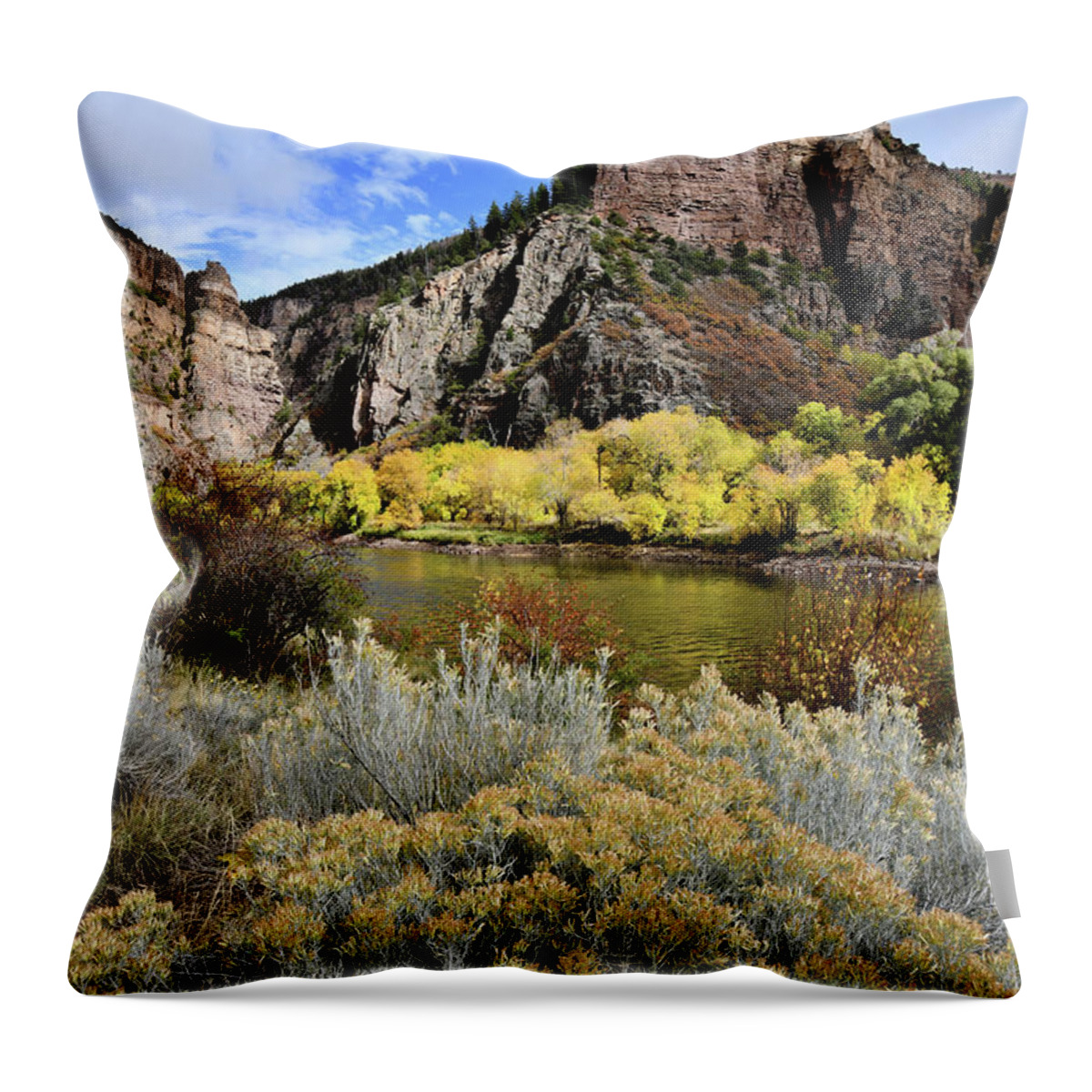  Throw Pillow featuring the photograph Colorado River Aspens in Color by Ray Mathis