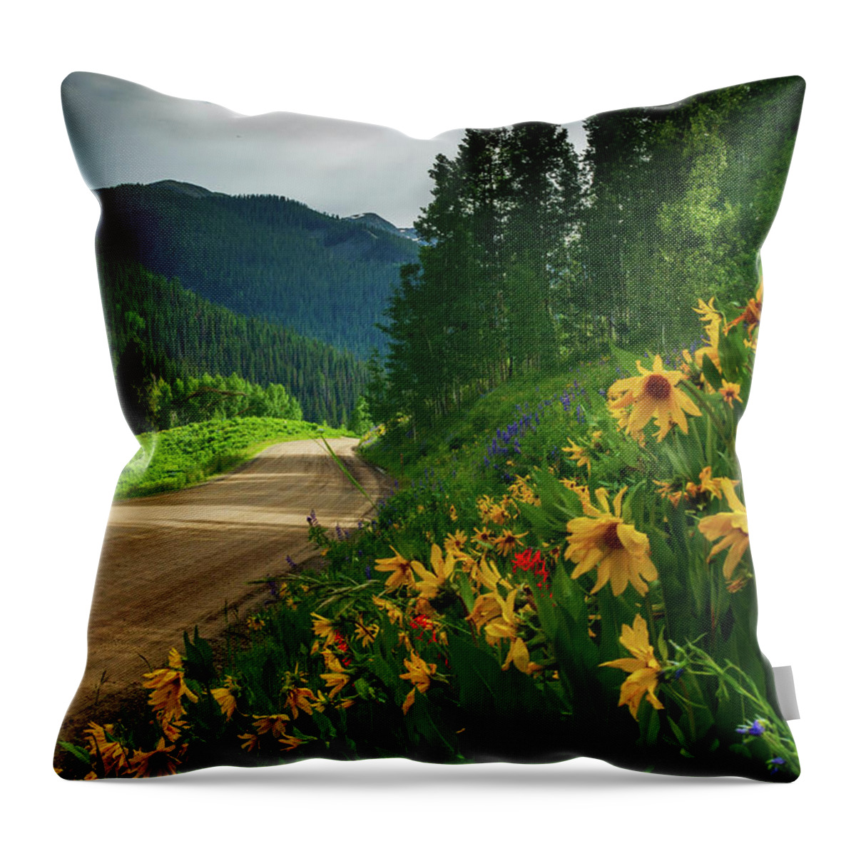 America Throw Pillow featuring the photograph Colorado Wildflowers by John De Bord