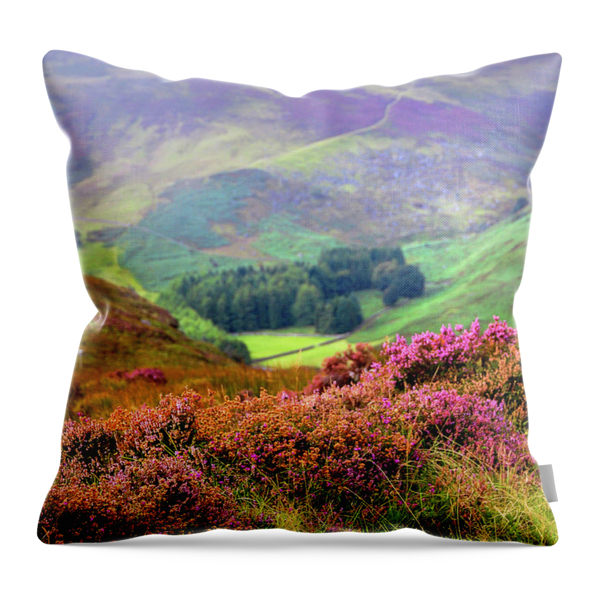 Jenny Rainbow Fine Art Photography Throw Pillow featuring the photograph Colorful Autumn in Wicklow. Levels by Jenny Rainbow