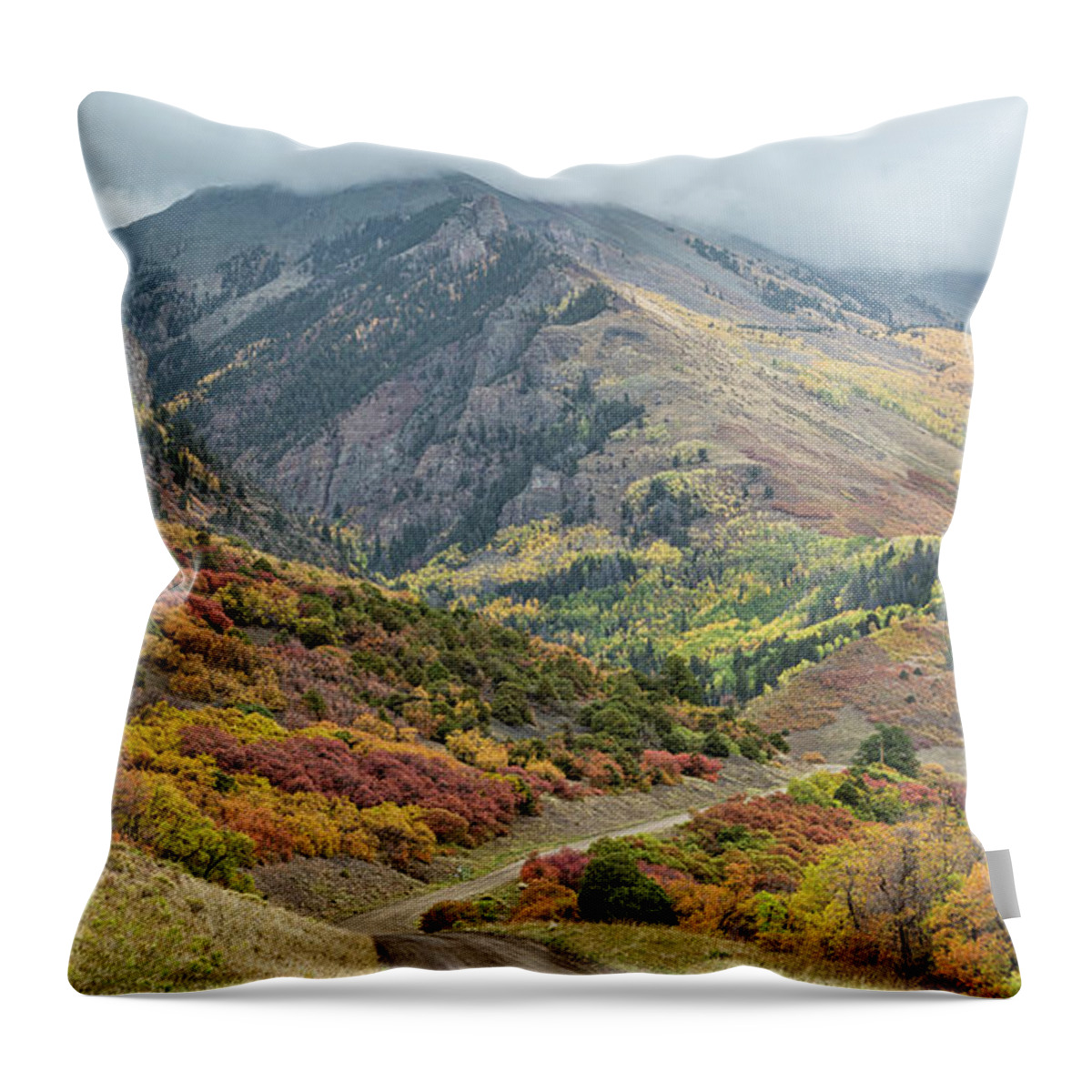 Colorado Throw Pillow featuring the photograph Colorful Autumn Oak Brush by Denise Bush