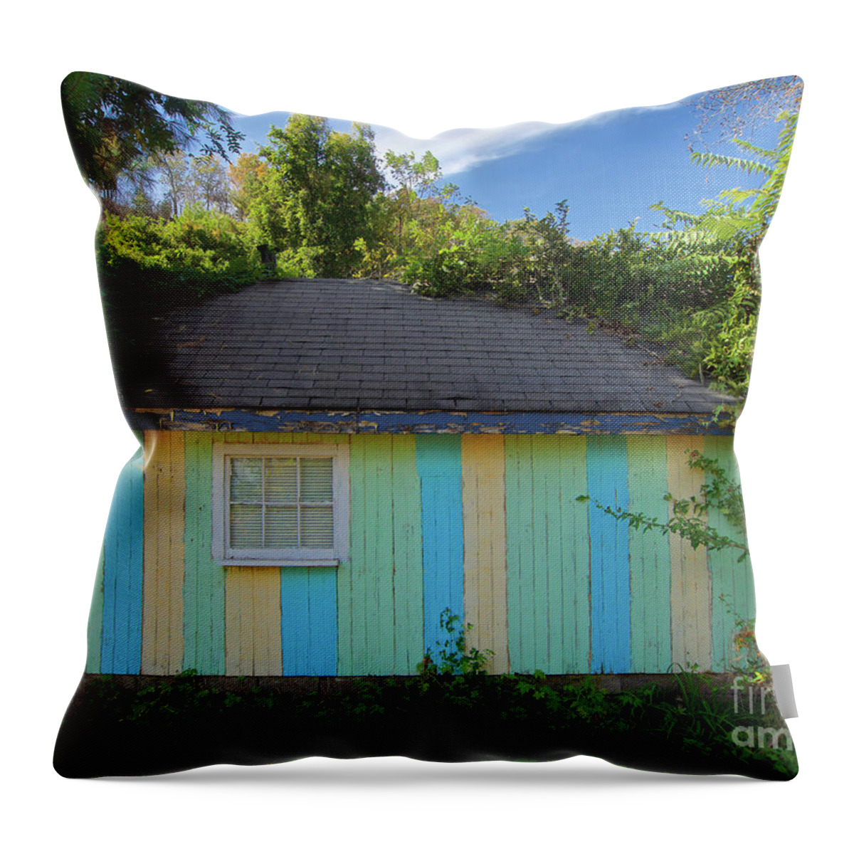 Hut Throw Pillow featuring the photograph Colorful Building In The Bushes by Mark Miller
