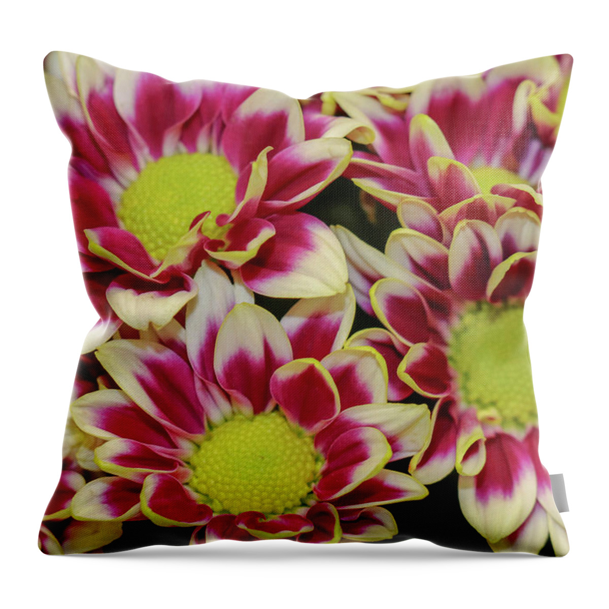 Fall Throw Pillow featuring the photograph Colorful Fall Blooms by Mary Anne Delgado