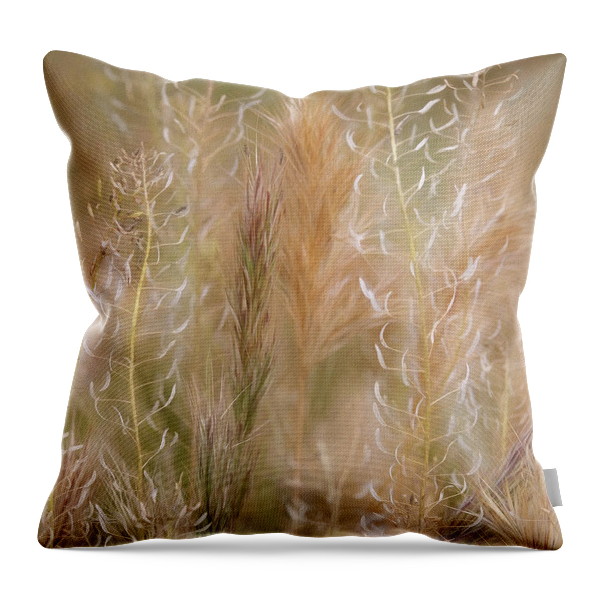 Grasses Throw Pillow featuring the photograph Colorful Grasses by Leda Robertson