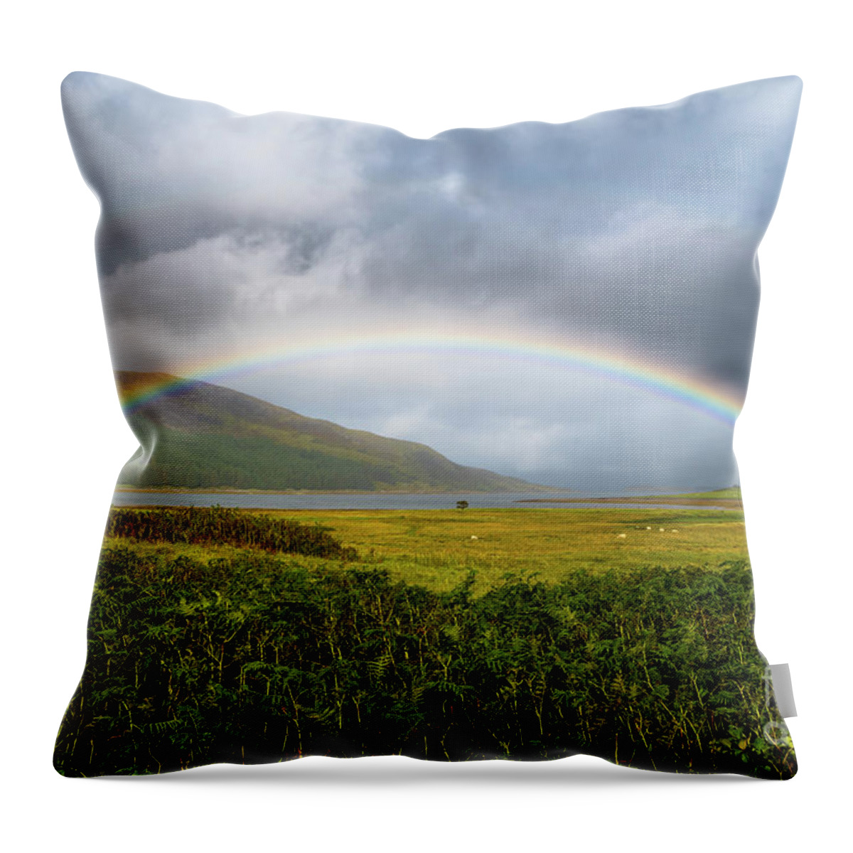 Agriculture Throw Pillow featuring the photograph Colorful Rainbow Over Fresh Pasture With Sheep On The Isle Of Skye In Scotland by Andreas Berthold