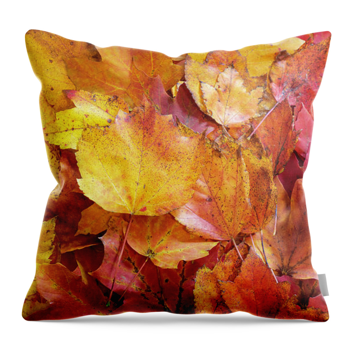 Fall Throw Pillow featuring the photograph Colors of Fall - Yellow to Red by Jason Fink