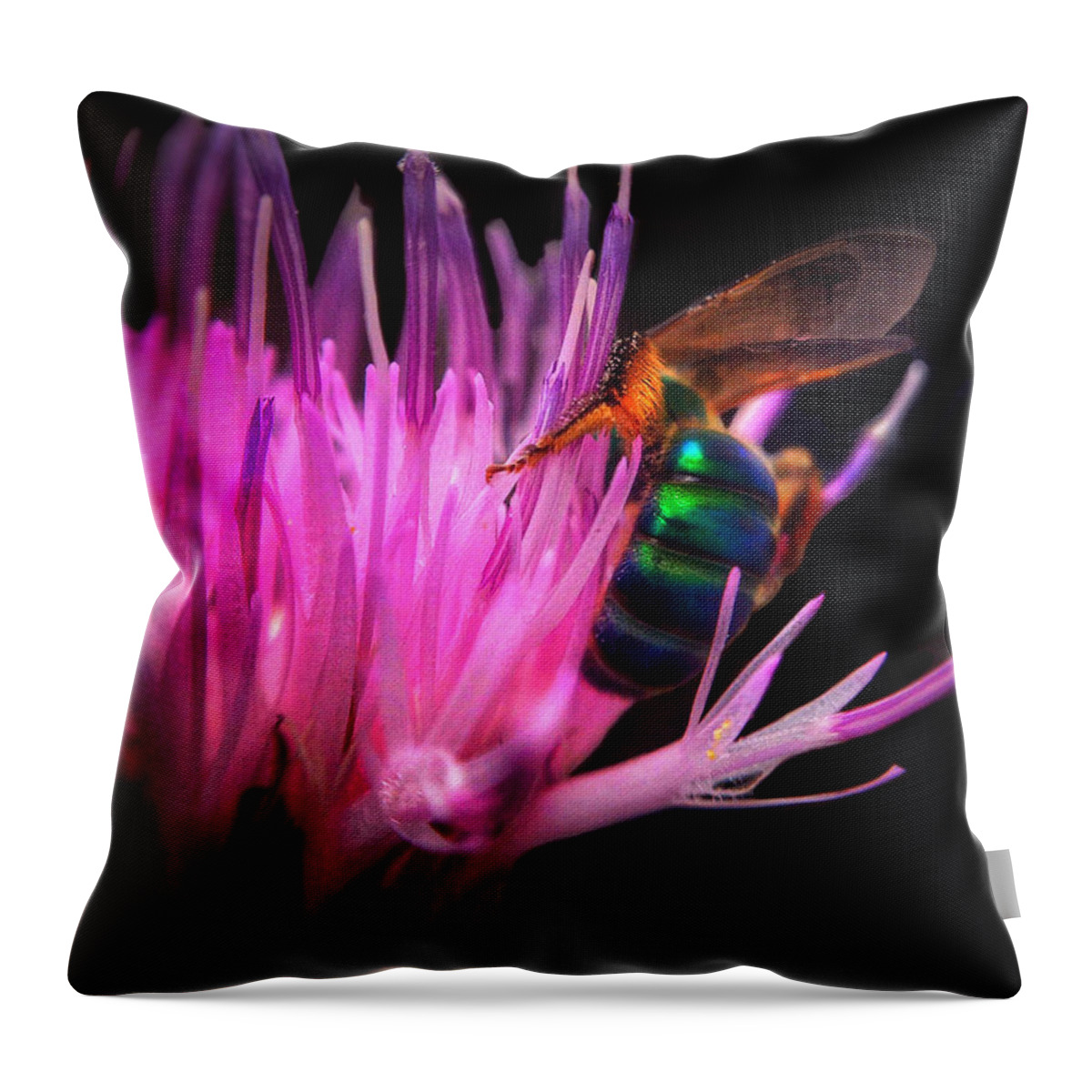 Nature Throw Pillow featuring the photograph Colors of Spring by Brenda Wilcox aka Wildeyed n Wicked
