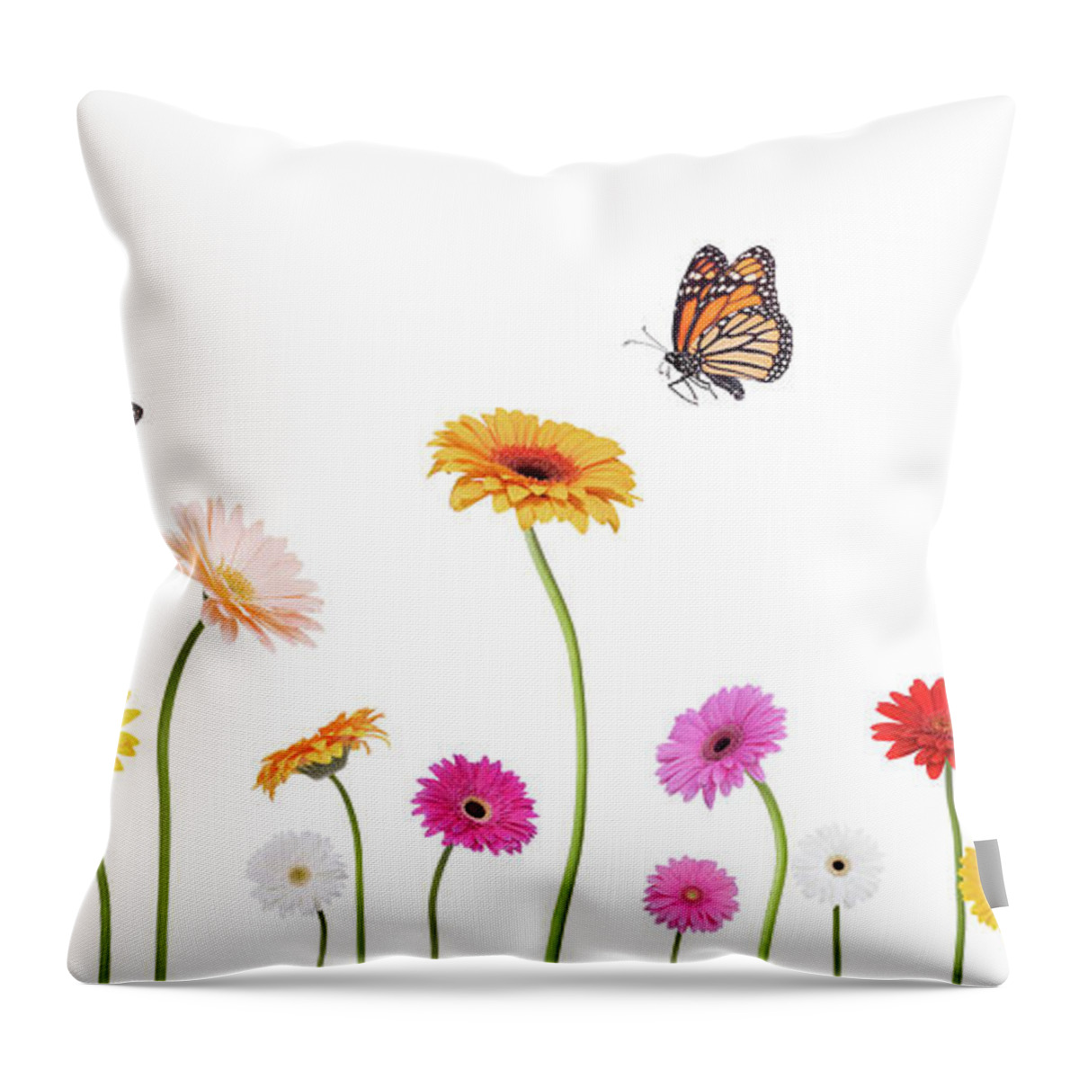 Scenics Throw Pillow featuring the photograph Colroful Spring Gerbera Daisies And by Liliboas