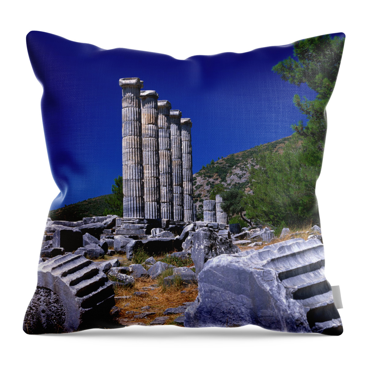 Aging Process Throw Pillow featuring the photograph Columns At The Ancient Ionian Ruins Of by Izzet Keribar
