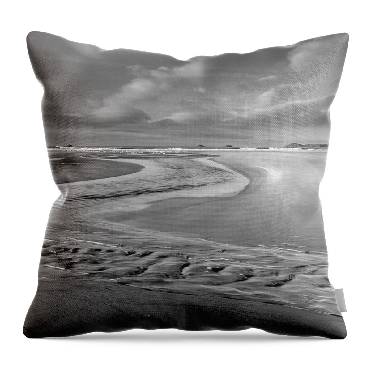 Disk1215 Throw Pillow featuring the photograph Comber Beach Pacific Rim National Park by Tim Fitzharris