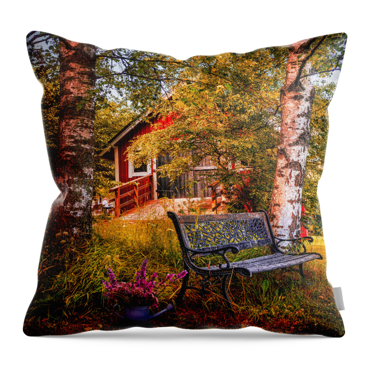 Appalachia Throw Pillow featuring the photograph Come Back Home on an Autumn Afternoon by Debra and Dave Vanderlaan