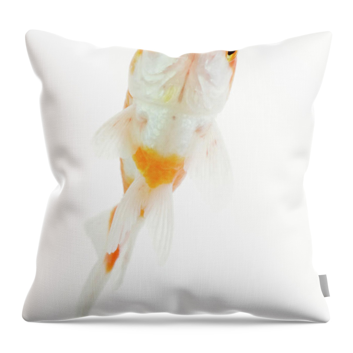 Pets Throw Pillow featuring the photograph Comet Comet-tailed Goldfish by Martin Harvey