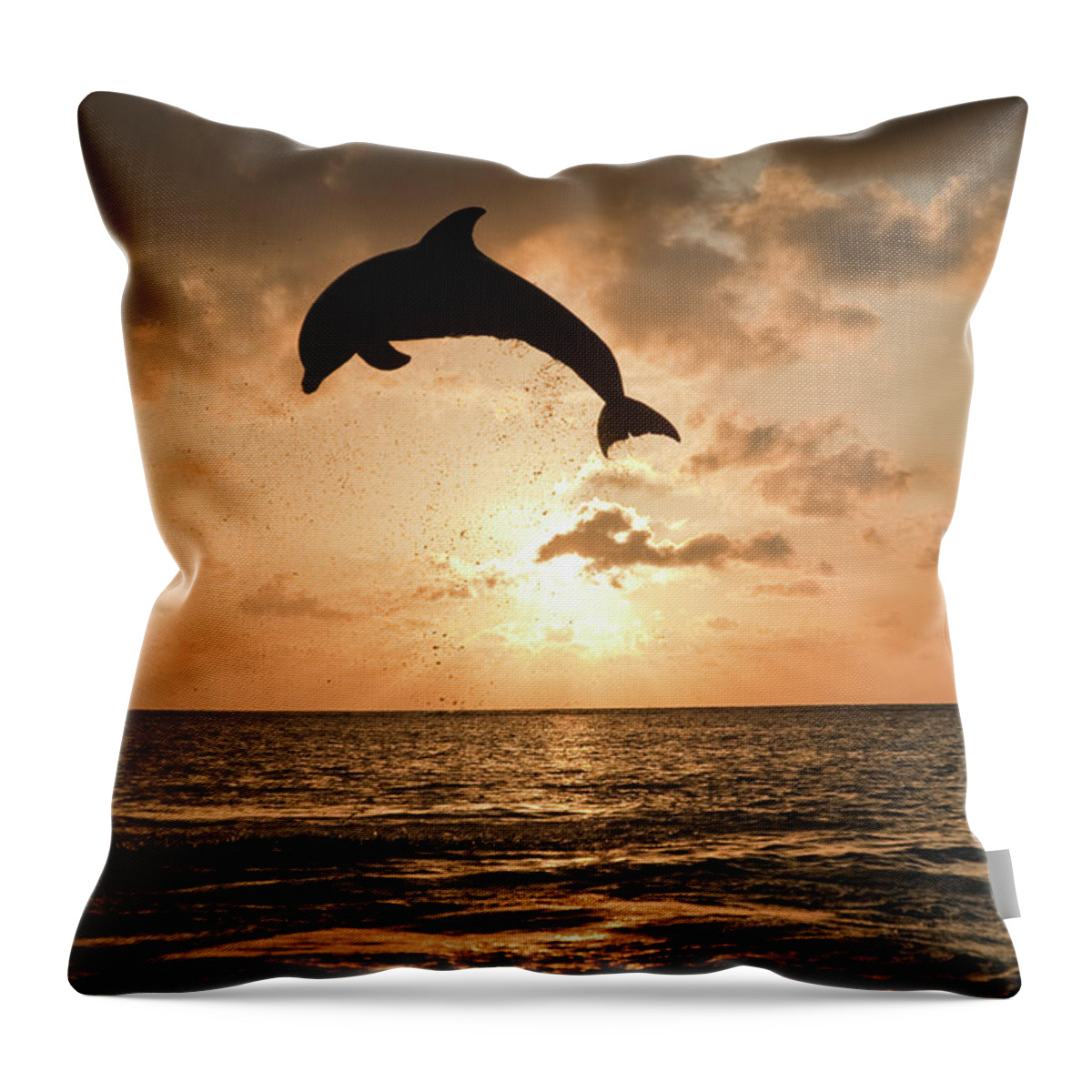 Aerodynamic Throw Pillow featuring the photograph Common Bottlenose Dolphin Tursiops by Mike Hill