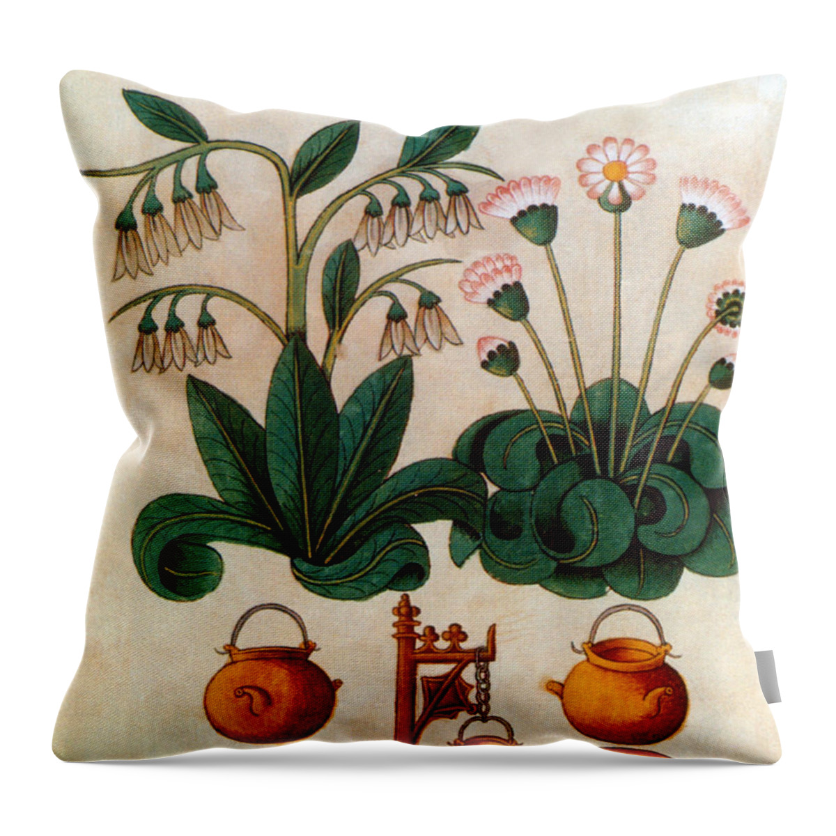 Bellis Perennis Throw Pillow featuring the photograph Common Daisy by Bug Sutton