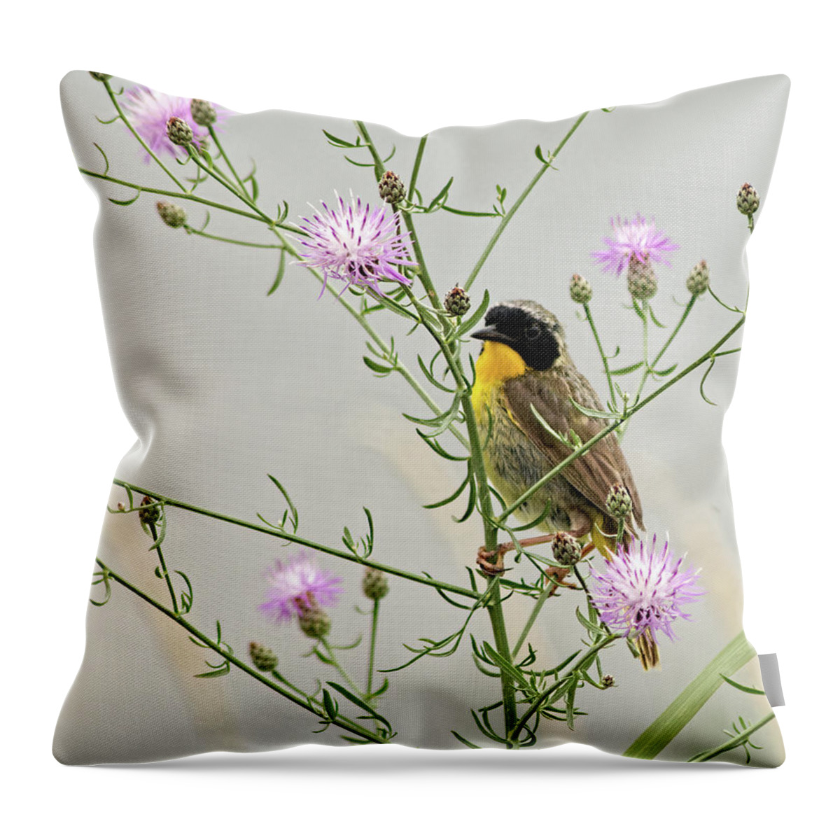 Common Yellowthroat Throw Pillow featuring the photograph Common Yellowthroat by Kristia Adams