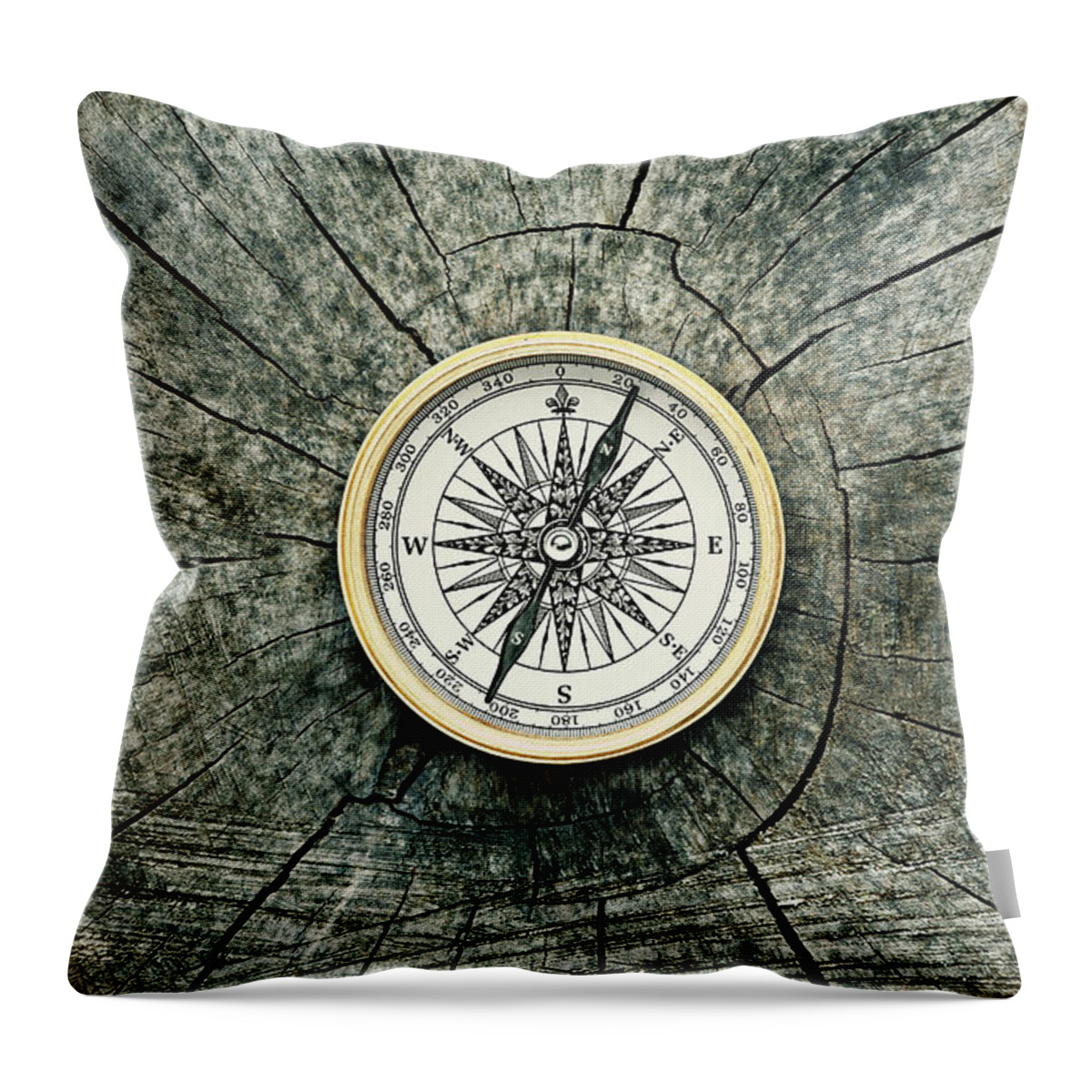 Two Objects Throw Pillow featuring the photograph Compass On A Tree Rings by David Muir