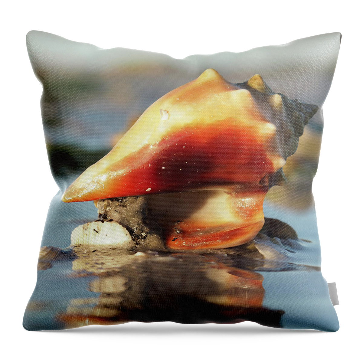 Shell Throw Pillow featuring the photograph Conch on High by David Bader