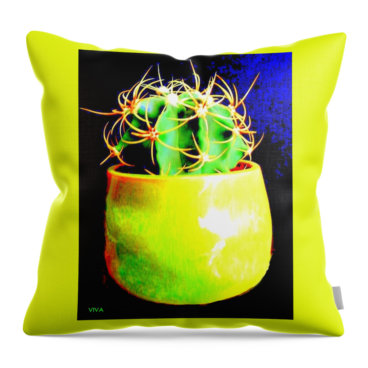 Cactus Contemporary Throw Pillow featuring the photograph Contemporary Cactus by VIVA Anderson
