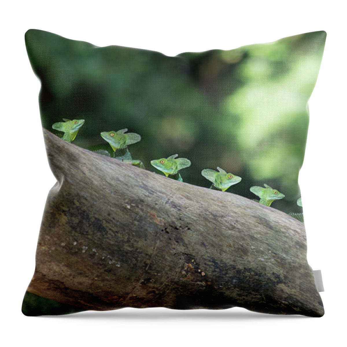 Costa Throw Pillow featuring the photograph Costa Rica Scout Troop 007 by Betsy Knapp