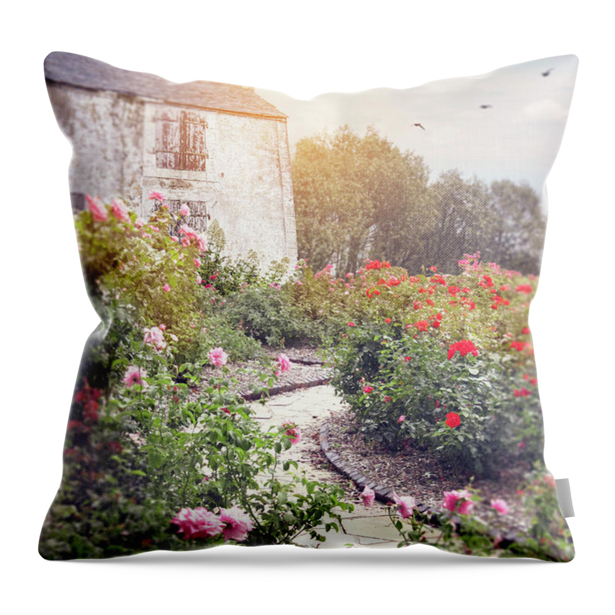 Beautiful Throw Pillow featuring the photograph Cottage Garden With Roses by Ethiriel Photography