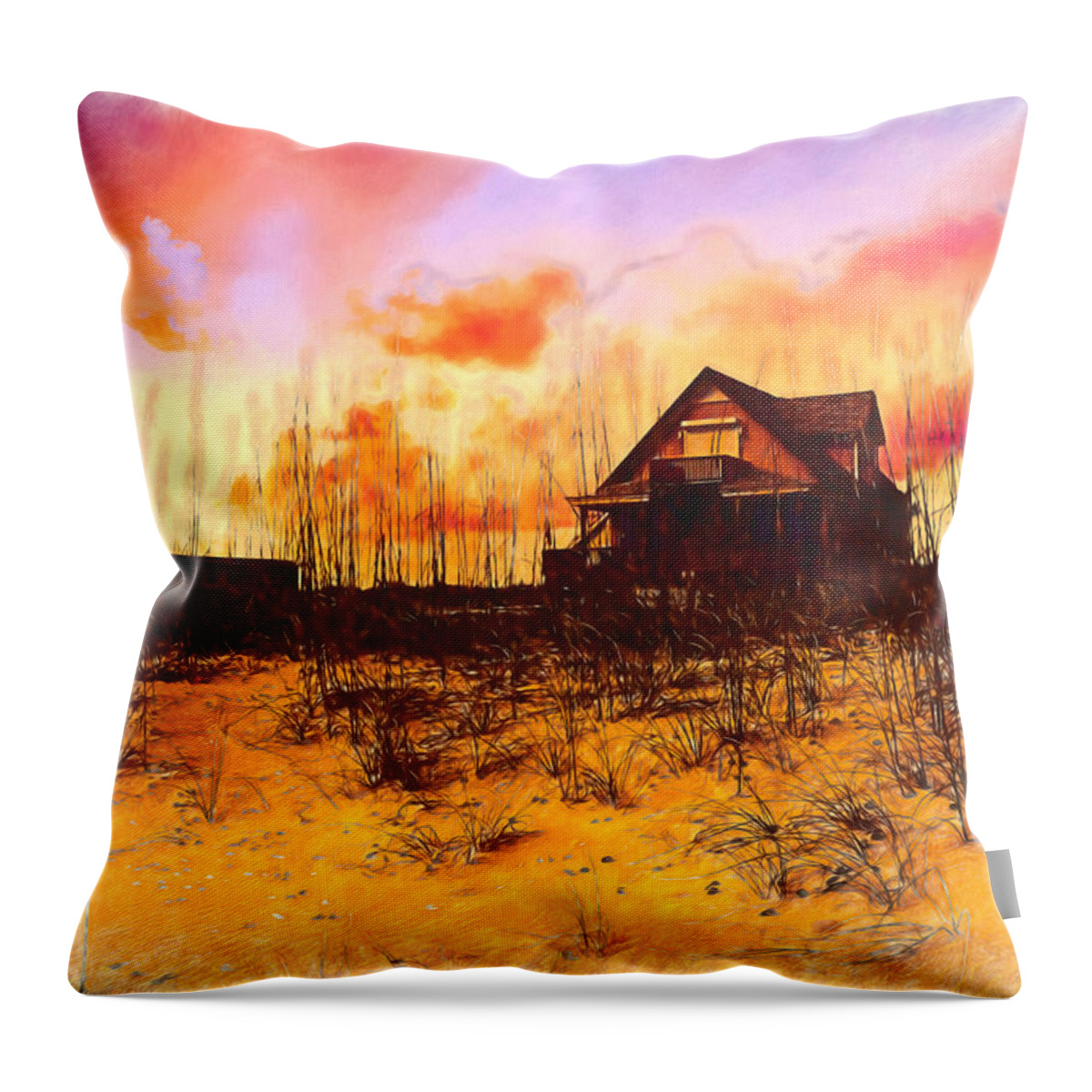 Boats Throw Pillow featuring the photograph Cottage on the Dunes Painting by Debra and Dave Vanderlaan