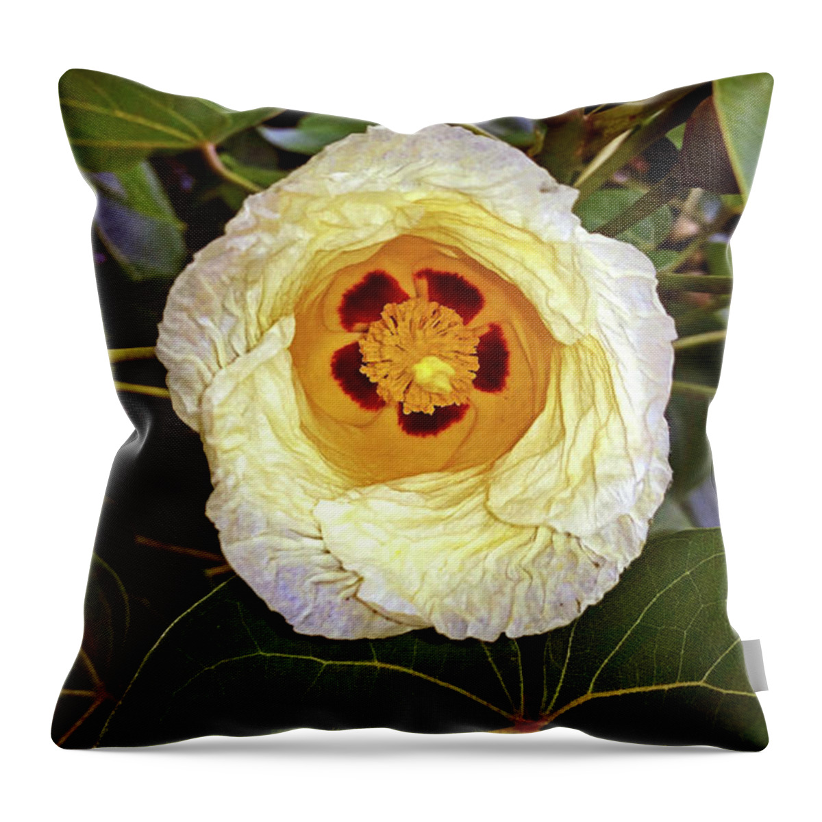 Gossypium Hirsutum Throw Pillow featuring the photograph Cottoning by Climate Change VI - Sales