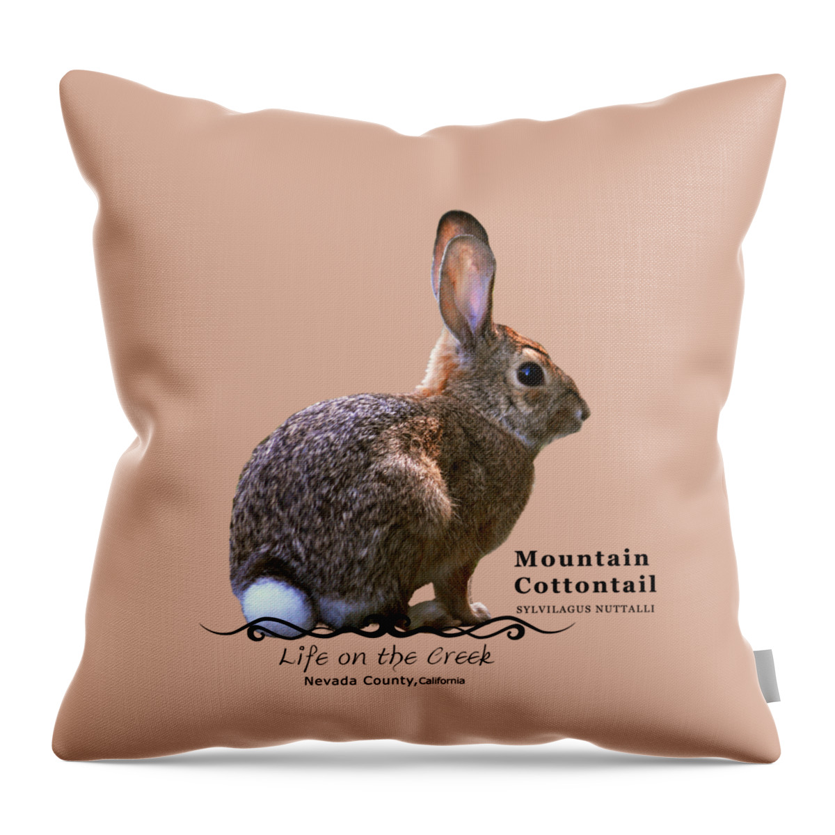 Cottontail Throw Pillow featuring the digital art Cottontail Rabbit by Lisa Redfern