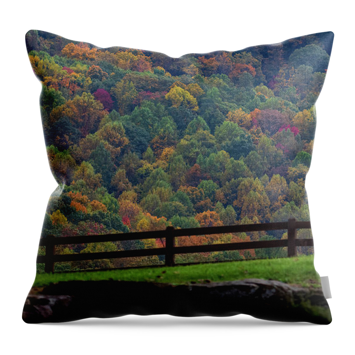 Countryside Throw Pillow featuring the photograph Country Autumn by Doug Sturgess