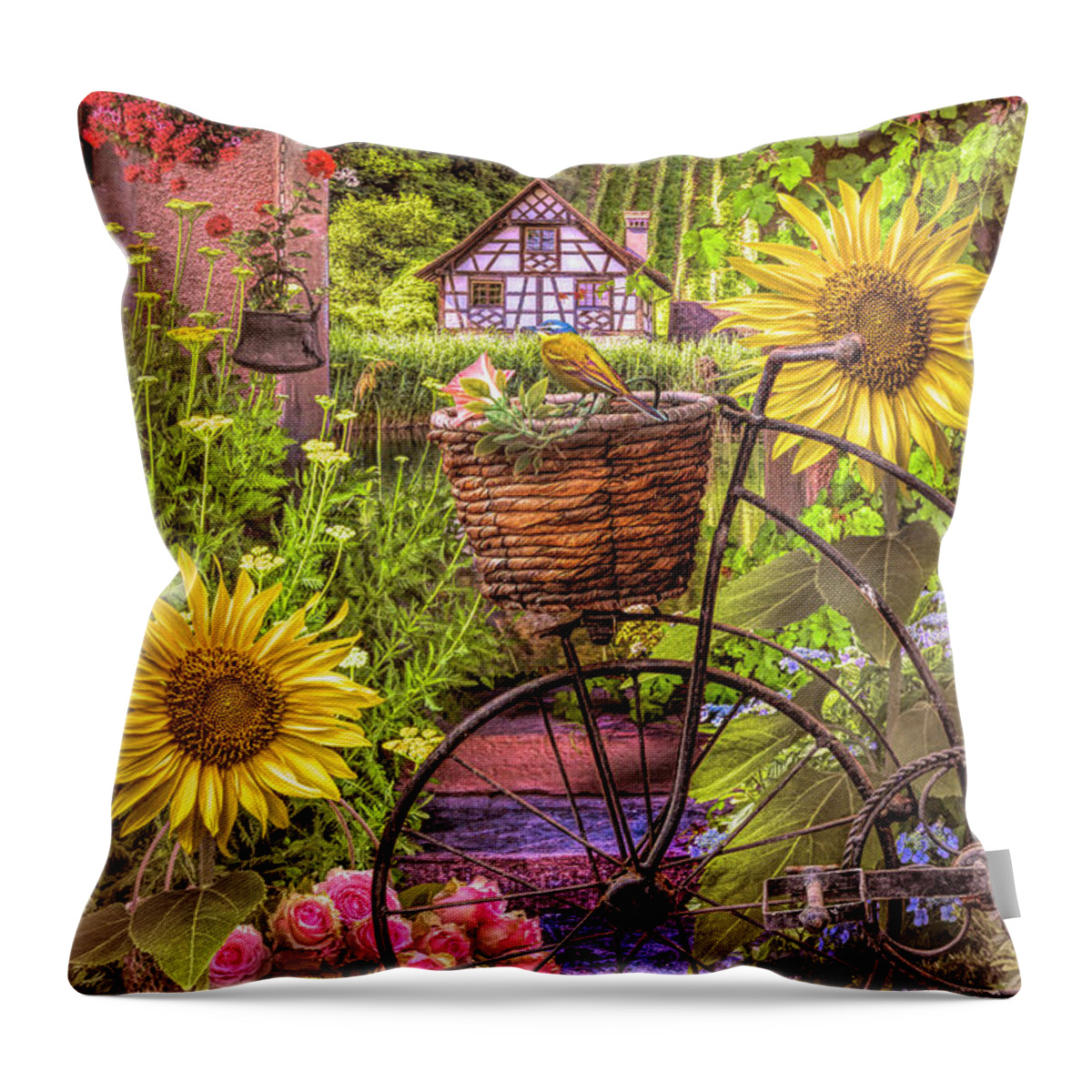 Barns Throw Pillow featuring the photograph Country Garden Wonderland by Debra and Dave Vanderlaan
