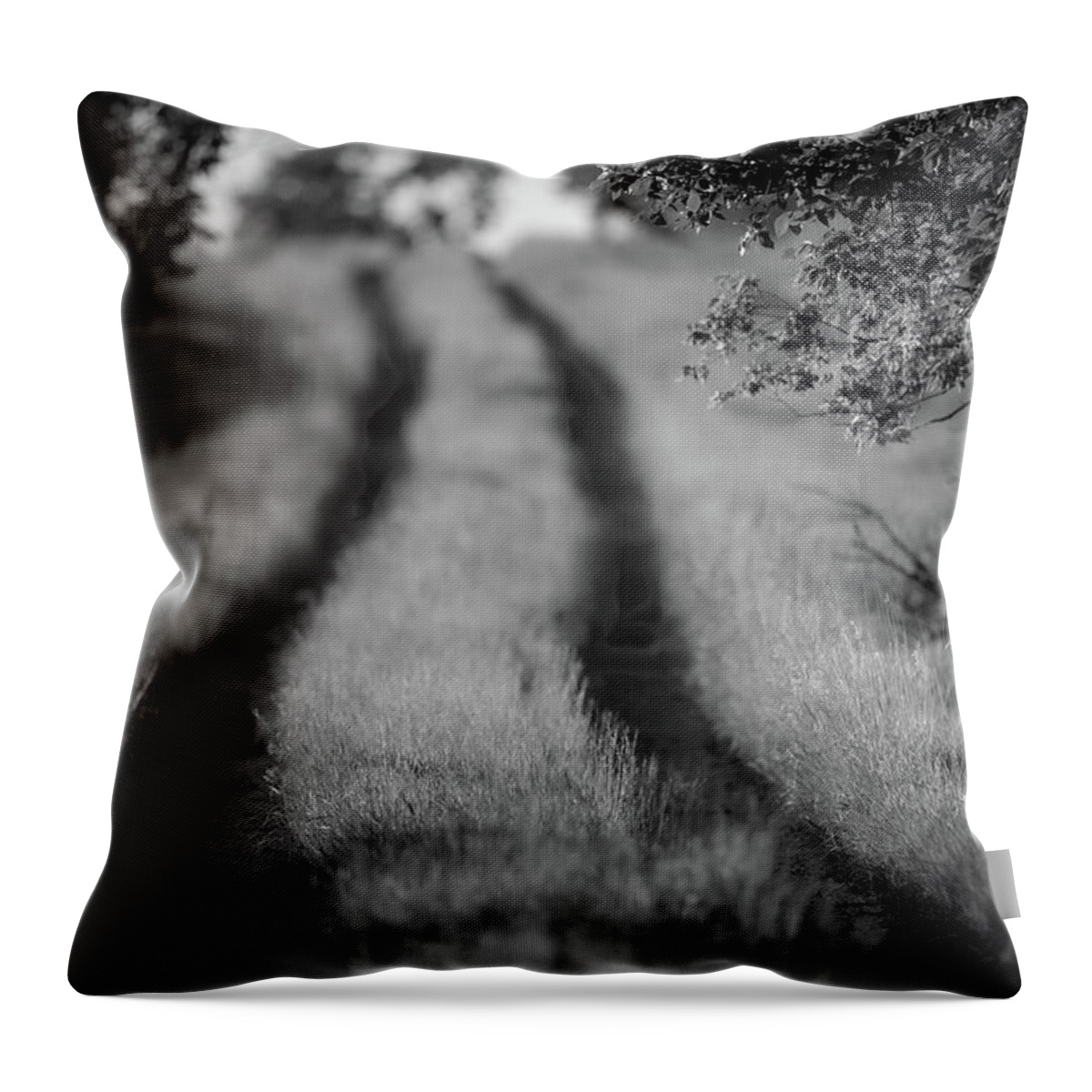 Black And White Throw Pillow featuring the photograph Country Lane by Jeff Phillippi