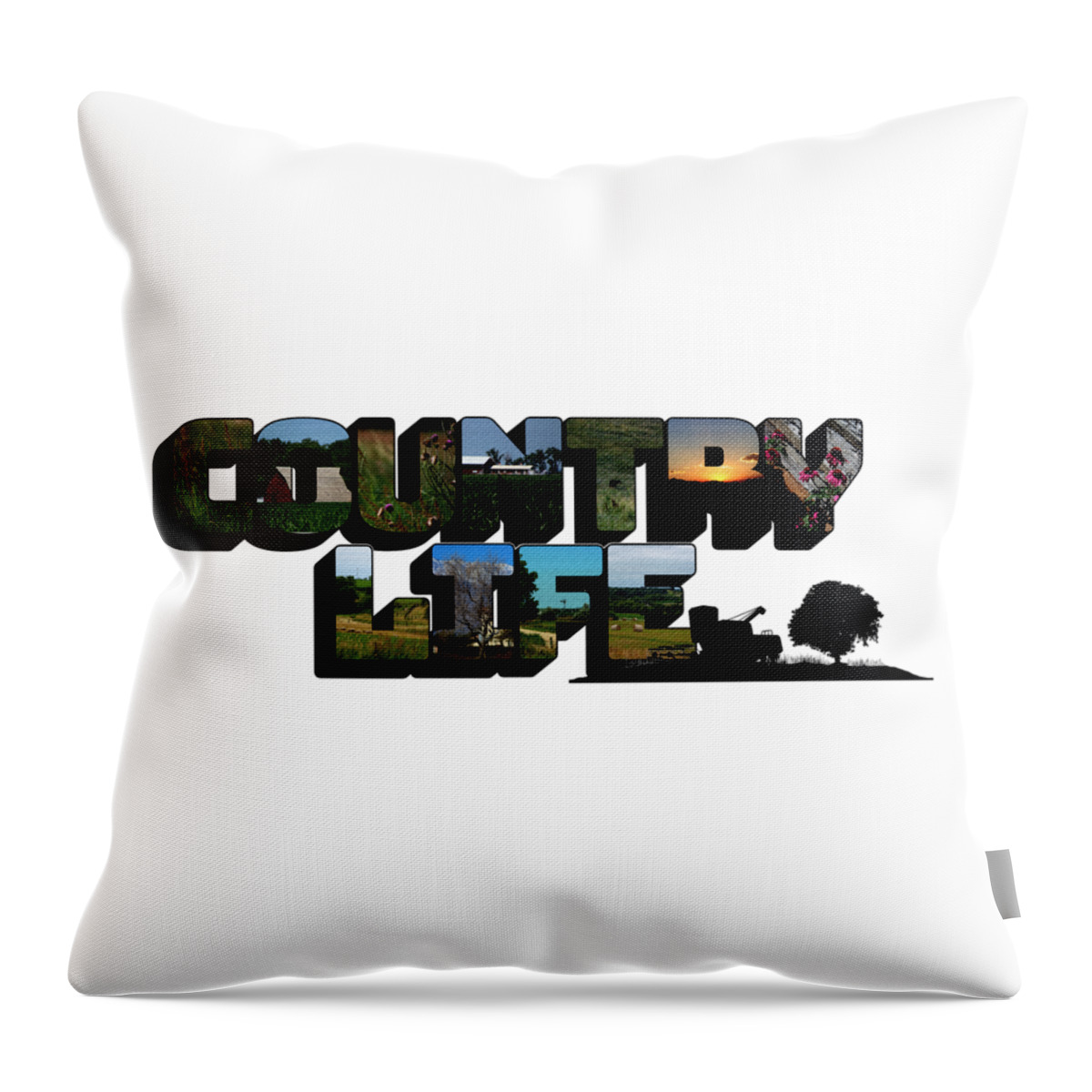 Country Living Throw Pillow featuring the photograph Country Life Big Letter by Colleen Cornelius