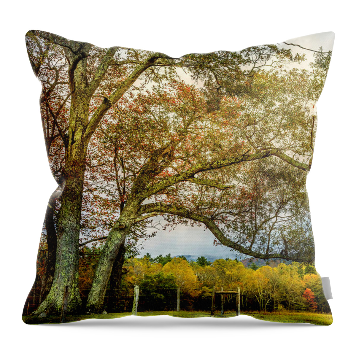 Appalachia Throw Pillow featuring the photograph Country Mountain Lane at Cades Cove by Debra and Dave Vanderlaan