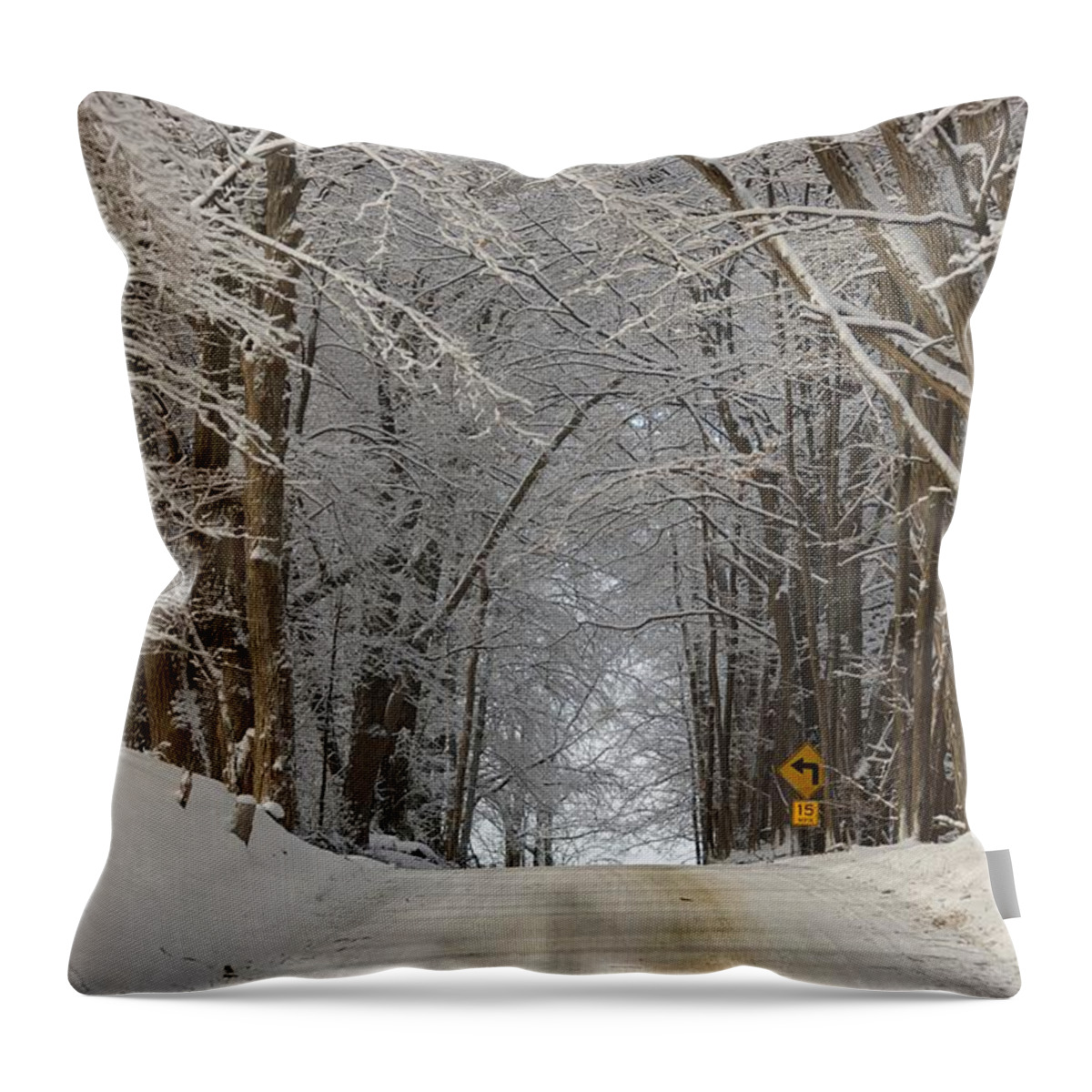 Country Road Throw Pillow featuring the photograph Road Chill by Marty Klar