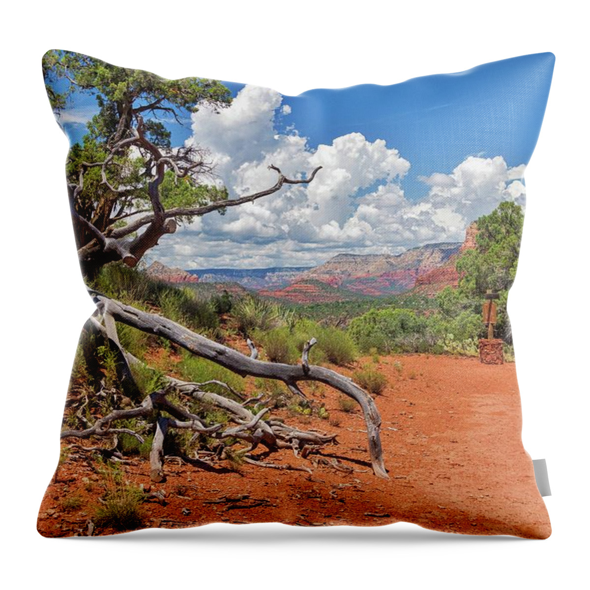 Arizona Throw Pillow featuring the photograph Courthouse Butte Loop Trail View by Marisa Geraghty Photography