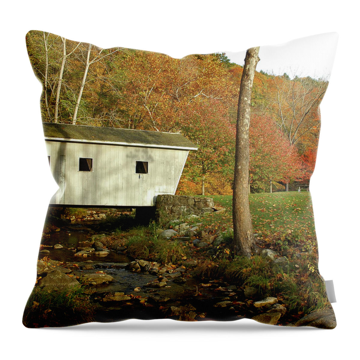 Estock Throw Pillow featuring the digital art Covered Bridge by Stephen G. Donaldson
