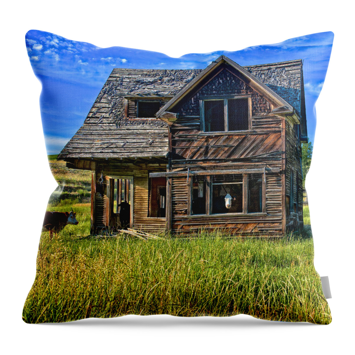 Cow Throw Pillow featuring the photograph Cow House by Ed Broberg