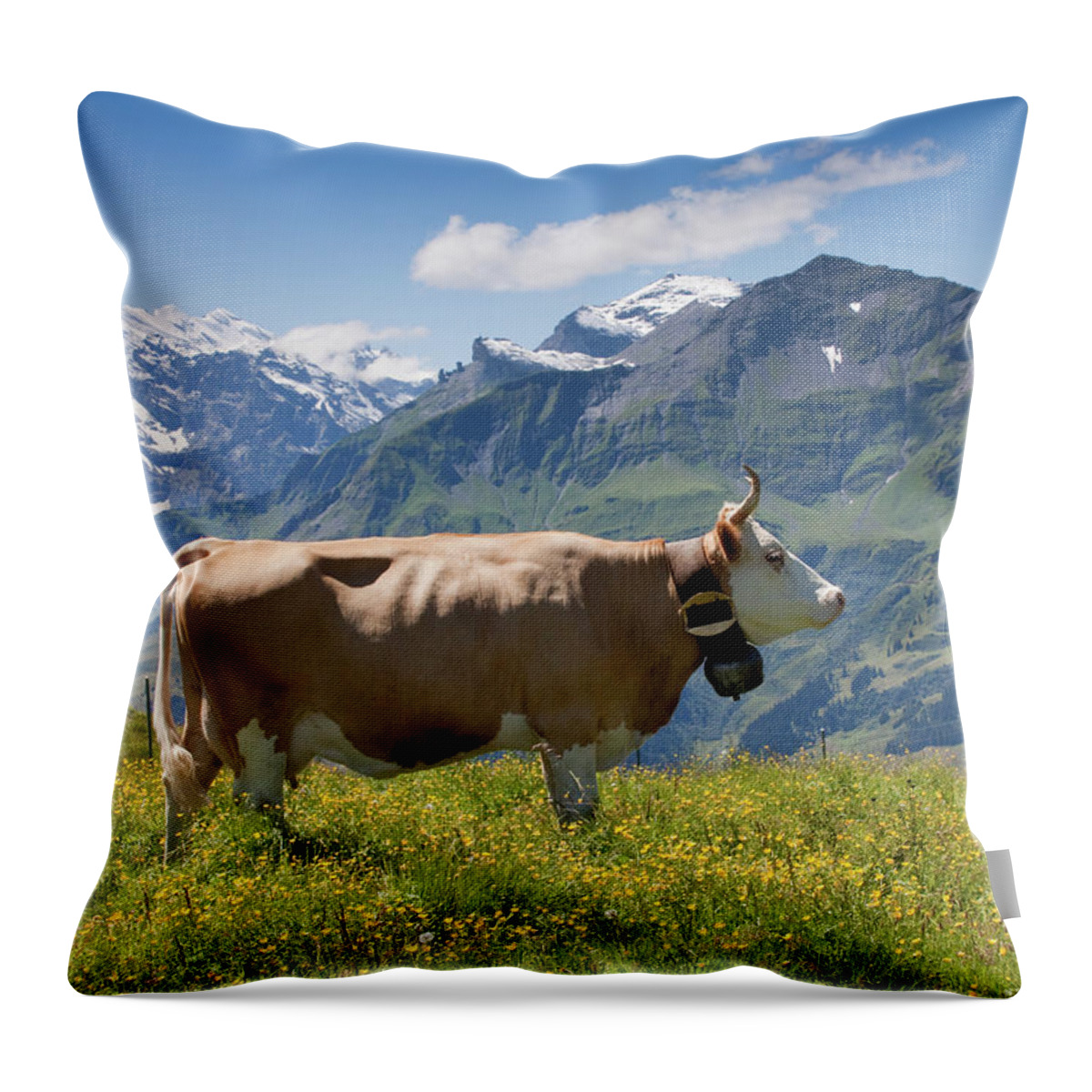 Grass Throw Pillow featuring the photograph Cow In The Swiss Alps by Barbara Pinter Photography