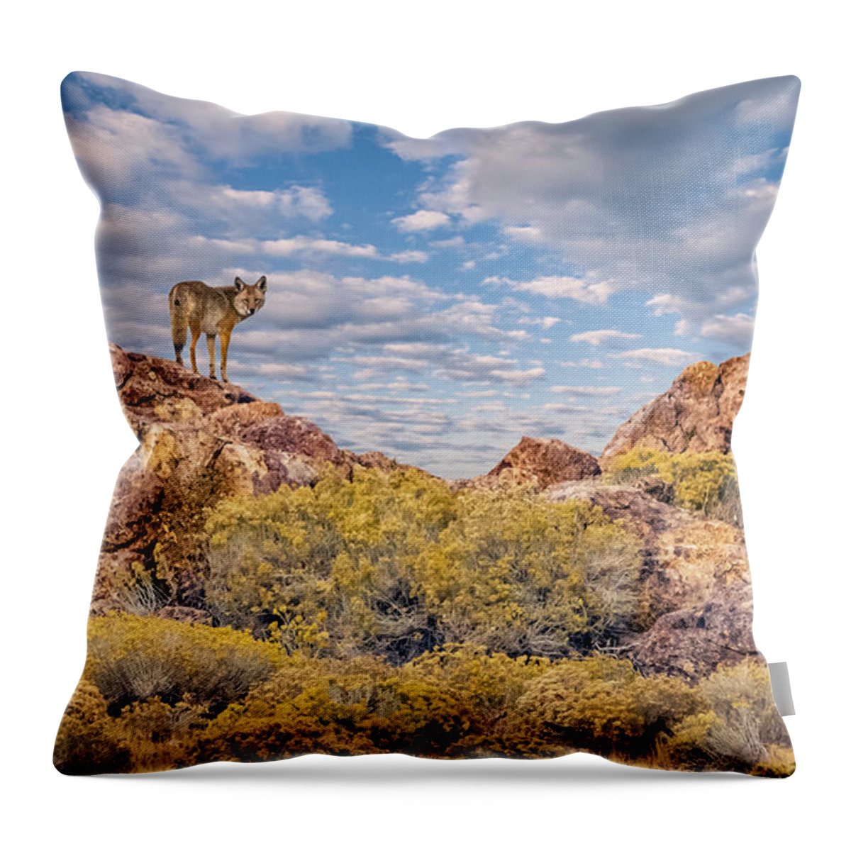 Coyote Throw Pillow featuring the photograph Coyote on the Rocks by Rick Mosher