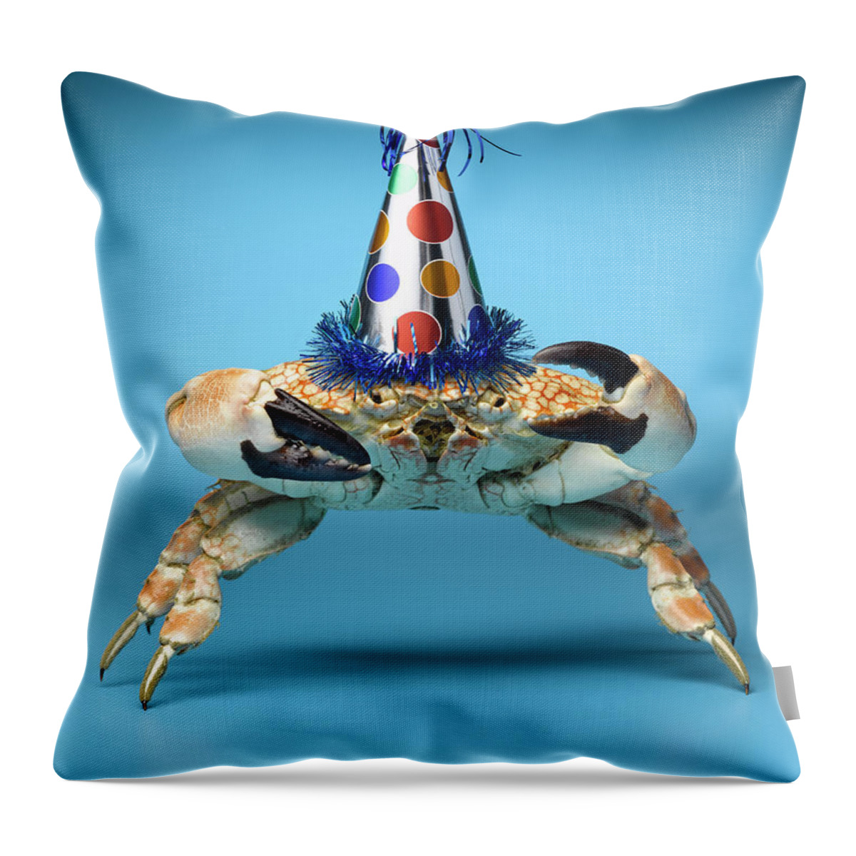 Animal Themes Throw Pillow featuring the photograph Crab Wearing Birthday Party Hat by Jeffrey Hamilton