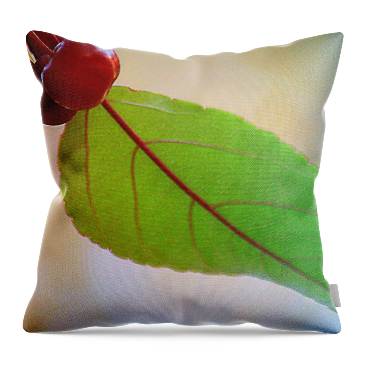 Art Throw Pillow featuring the photograph Crabapple Leaf by Joan Han