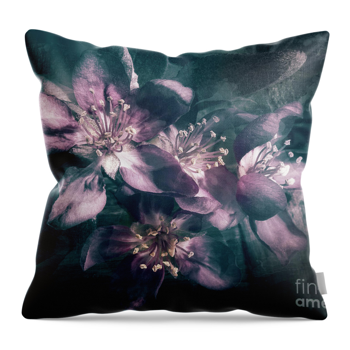 Flower Throw Pillow featuring the photograph Crabapples In Spring by Mike Eingle