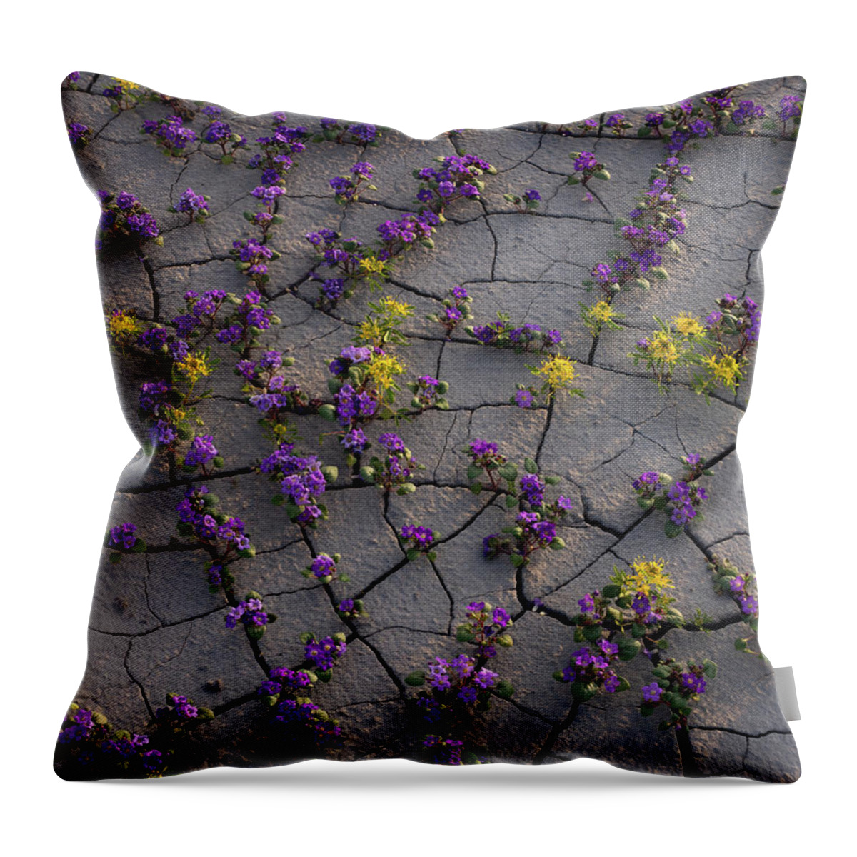 Utah Throw Pillow featuring the photograph Cracked Blossoms II by Emily Dickey