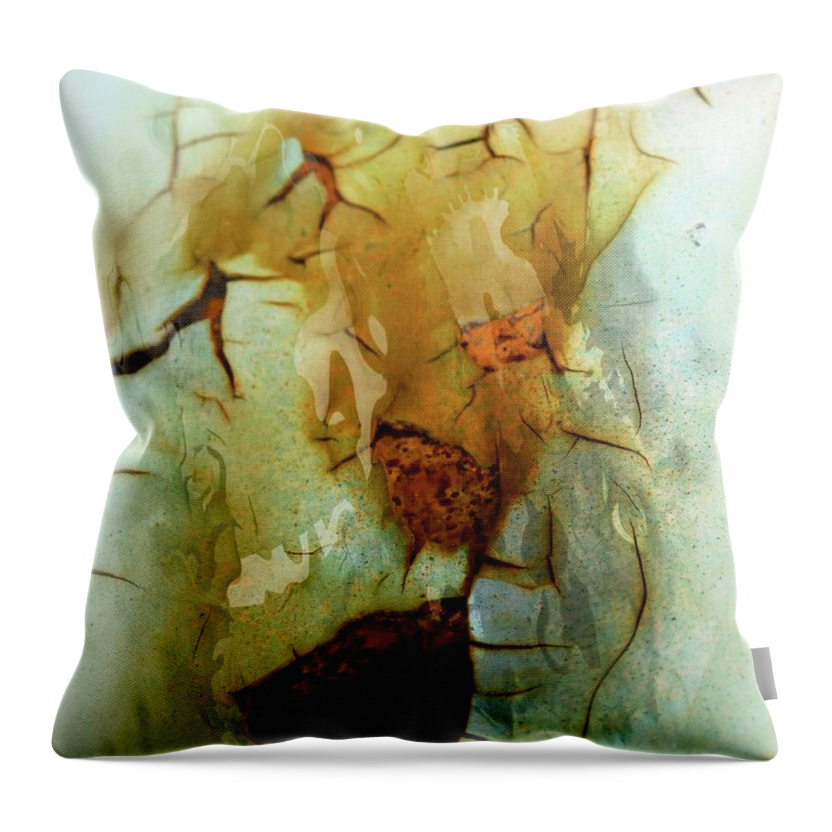 Marcia Lee Jones Throw Pillow featuring the photograph Cracks On The Surface by Marcia Lee Jones