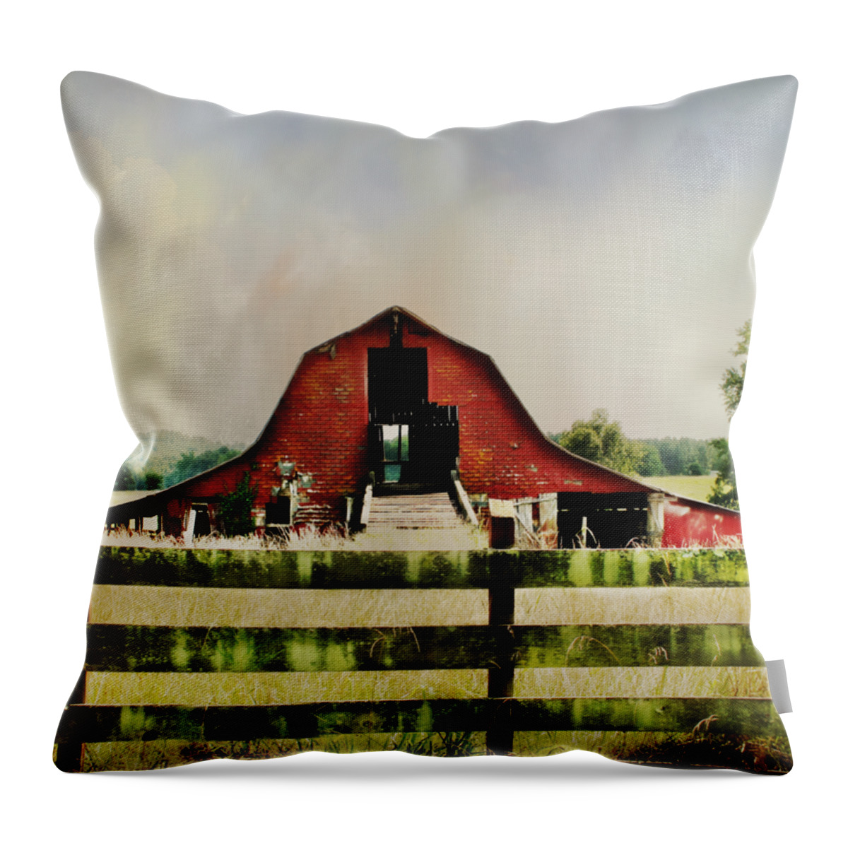 Top Selling Art Throw Pillow featuring the photograph Crawford Rd by Julie Hamilton