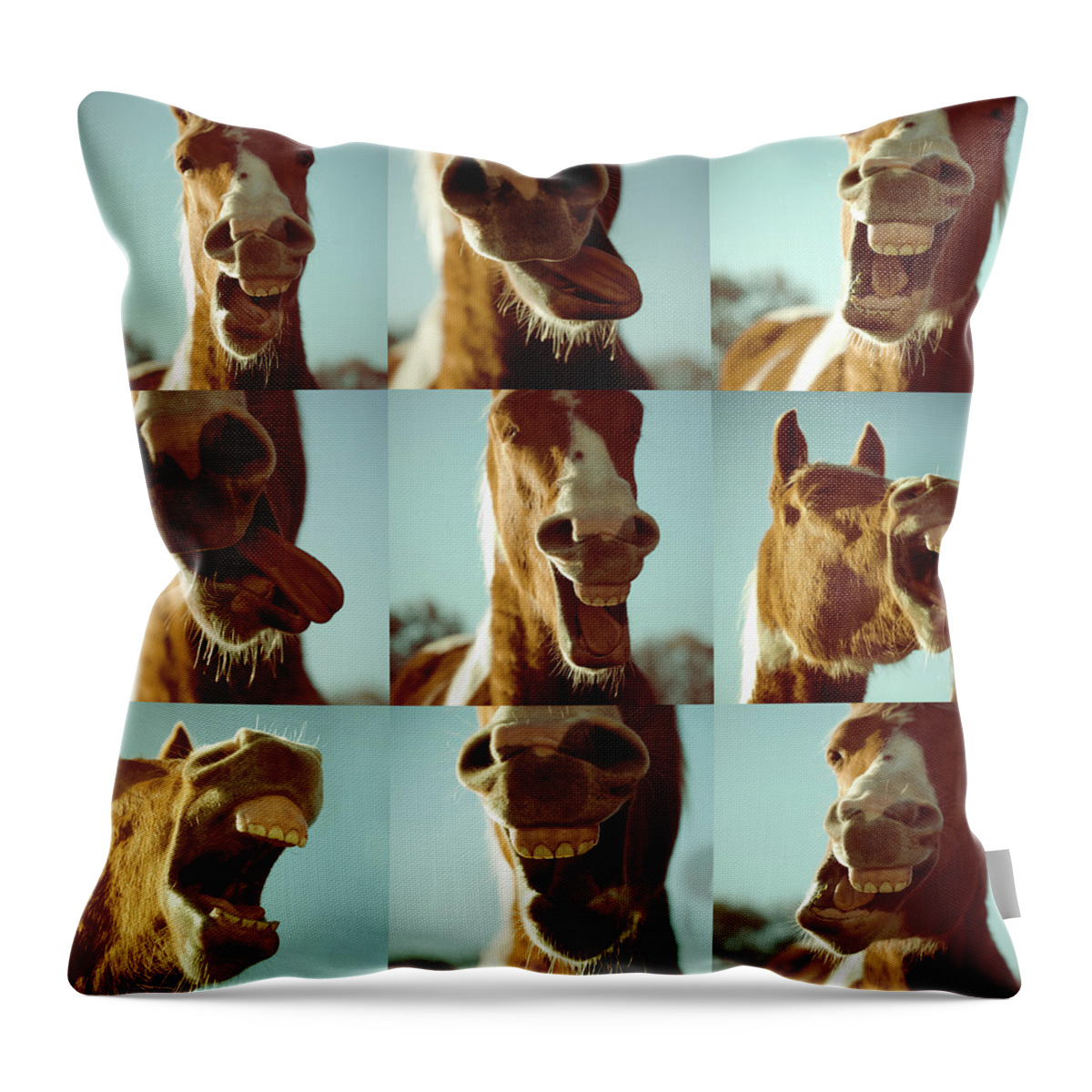 Horse Throw Pillow featuring the photograph Crazy Horse by Florence Barreau